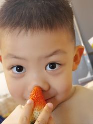 -kidsland(上海环球港店)