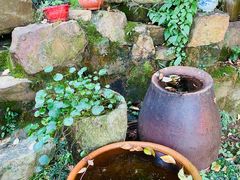 -美味之家·湖景农家乐(太湖东山店)