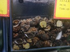 -蚝专家(北滘店)