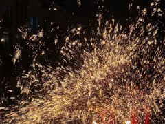 -海合安武汉极地海洋公园