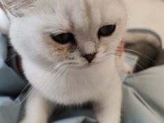 -共舞时光猫咖·狗咖(新街口店)