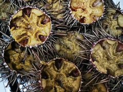 生海胆-海胆小馆(东北水饺·春柳店)