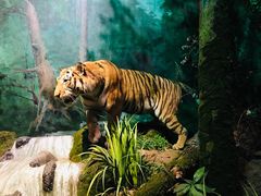 -武汉园博园(武汉自然博物馆)