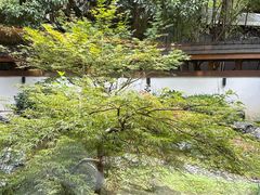 -久宴·天目湖大鱼头(恐龙园店)