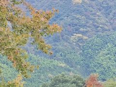 -塔川景区