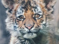 -上海动物园(地铁站)