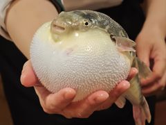 -永安鱼庄·镇江菜(丁卯店)