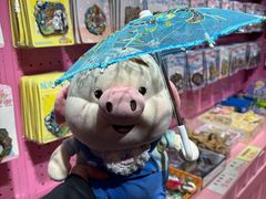 -重庆十八梯传统风貌区