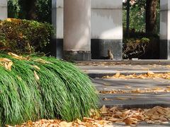 -浙江万里学院(钱湖校区)