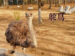 -大连森林动物园