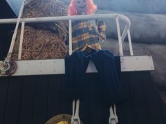 -1937青岛老味道·海肠捞饭·青岛菜(大鲍岛栈桥店)