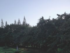 -广州世界大观
