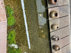 -几荷·恰似故人来(秀水广场店)