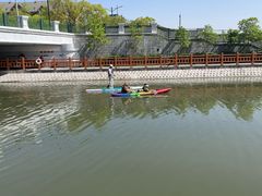 -新江湾城公园