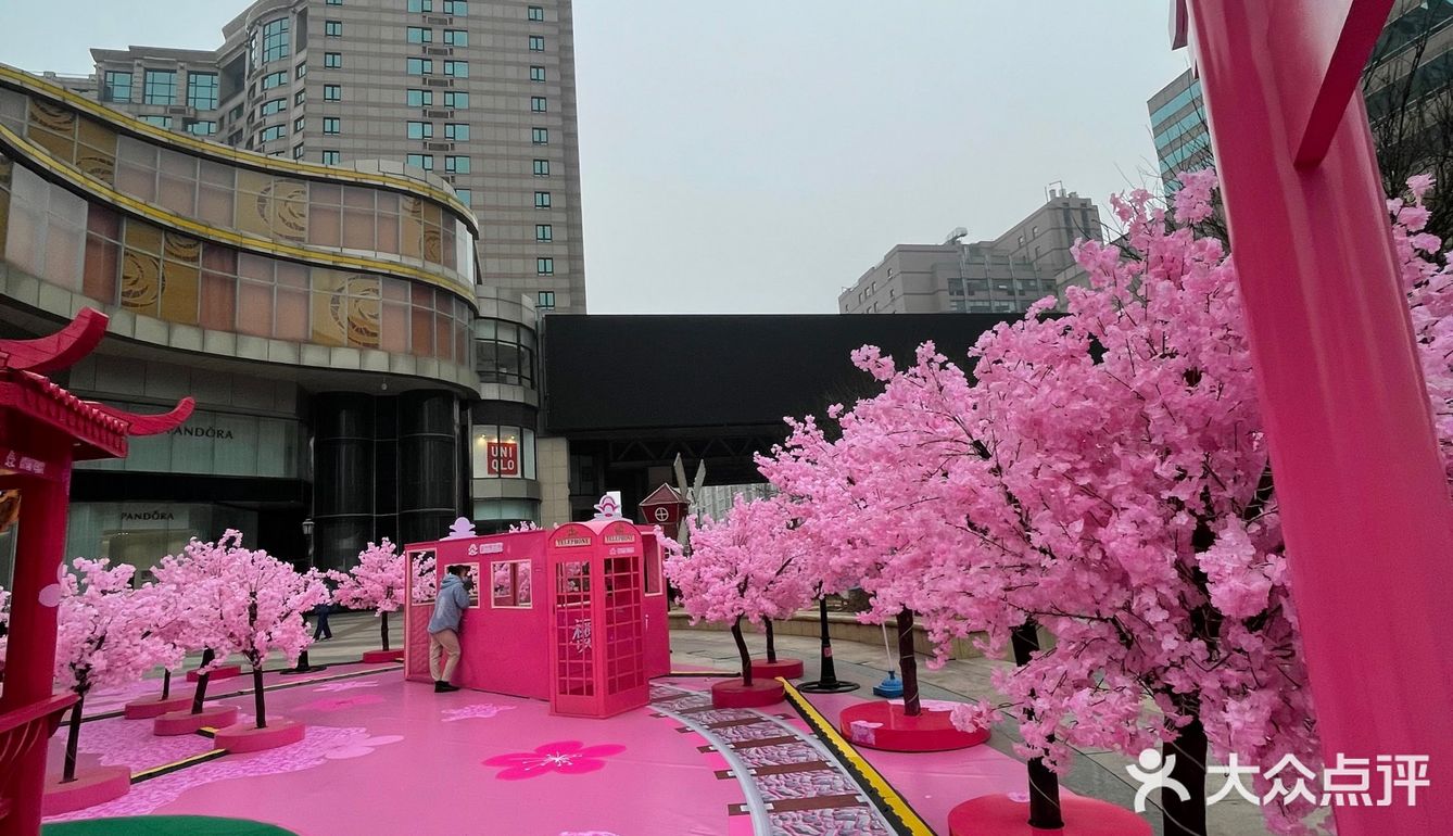 满树樱花朵朵开，花花世界的，出来逛街啊