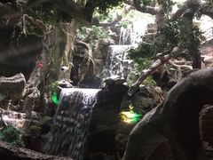 -多彩贵州城极地海洋世界