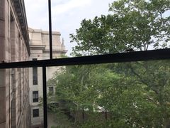 -美国自然历史博物馆