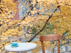 -腾爱熊猫咖啡生活馆(老东门店)