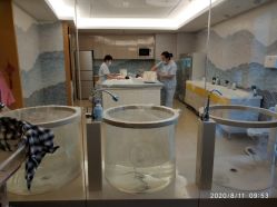 -和伊母婴护理中心·全套房(金山店)