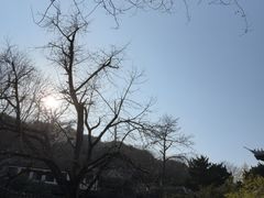 -无锡惠山寺