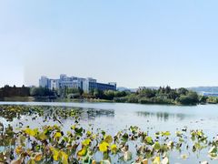 -江南大学(蠡湖校区)