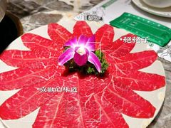 -禄婶鸡煲·打边炉