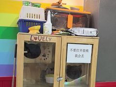 -203密室体验馆·逃脱·聚会·亲子(工体店)