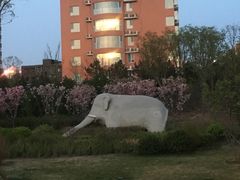 -迎泽公园