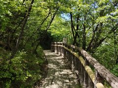-圣莲山风景区