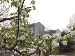 -南开大学滨海学院