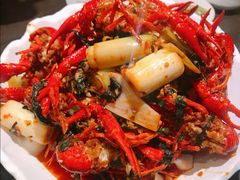 微麻微辣小龙虾-虾胡闹·澳洲小龙虾·烧烤(福田鲨鱼店)