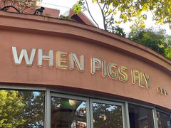 -WHEN PIGS FLY当猪飞