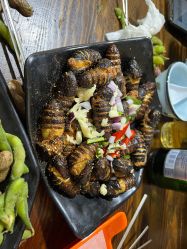 -鑫淼餐饮娱乐中心(江东街店)