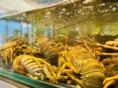 -亚马逊蒸汽活海鲜自助(LCM置汇旭辉广场店)