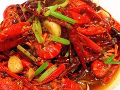 -杨氏青龙虾·羊蝎子(托乐嘉店)