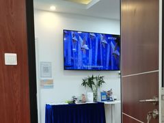 -新励成演讲口才培训(深圳宝安学训中心)