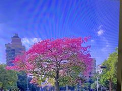 -宝能·all city(南山店)