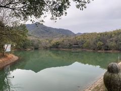 -杭州半山国家森林公园