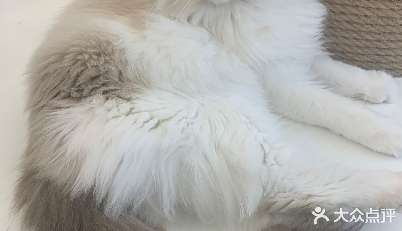 期望有多大，失望就有多大吧！第一次这样的……