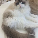 期望有多大，失望就有多大吧！第一次这样的……