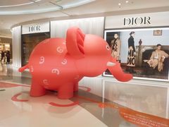 -Dior迪奥(海信广场店)