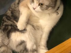 -作咖啡(养育巷店)