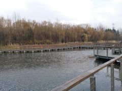 -昆山城市生态森林公园