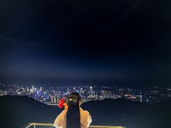 -大金鹰园