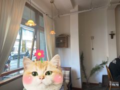 -Ginko银子(青龙街店)