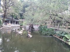 -国恩寺