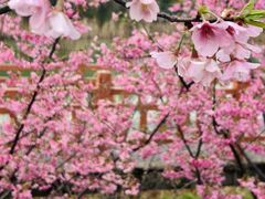 -艾溪湖湿地公园