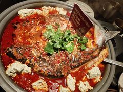 -师烤·豆花烤鱼(广州荔湾扬韬广场店)