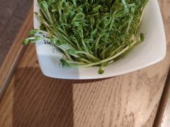 -古膳记猪肚鸡.生蚝鸡(拱北店)