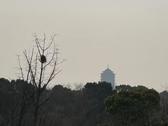 -苏州太湖国家湿地公园